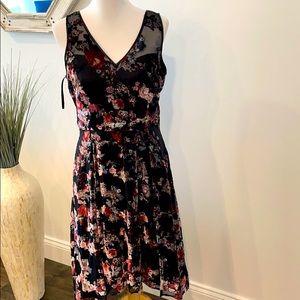 WHBM Romantic velvet Detailed Dress NWT!